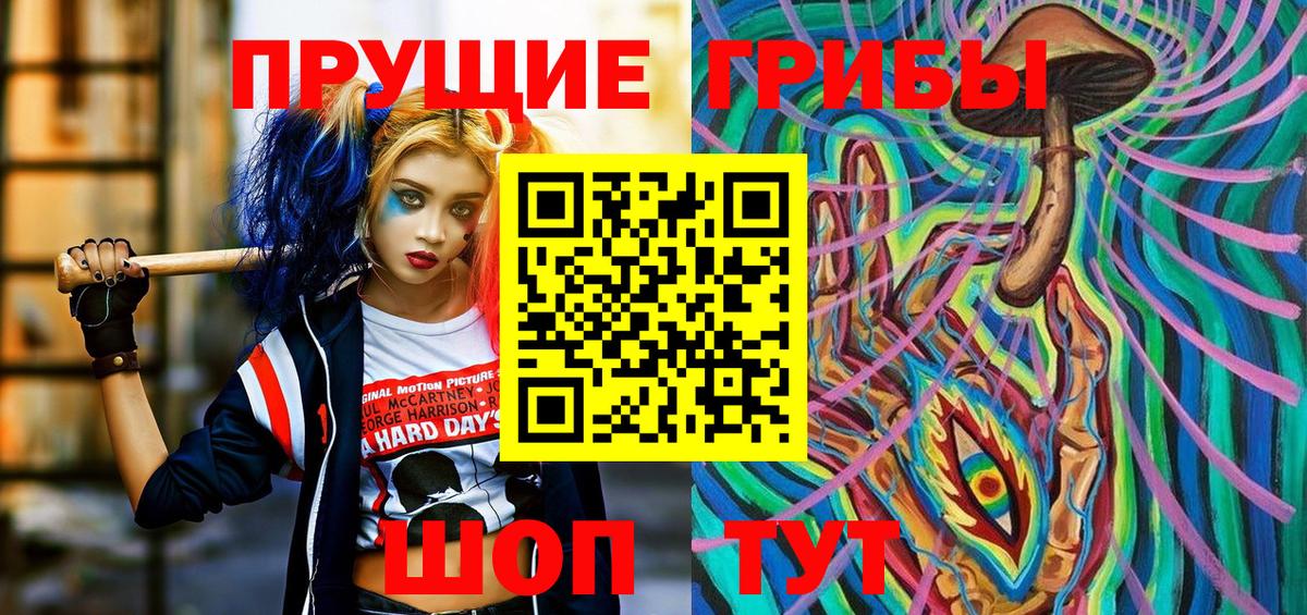 Черняховск  Псилоцибиновые грибы MAGIC MUSHROOMS  Вход с VPN 